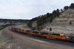 BNSF 9382/9215/9214/6258